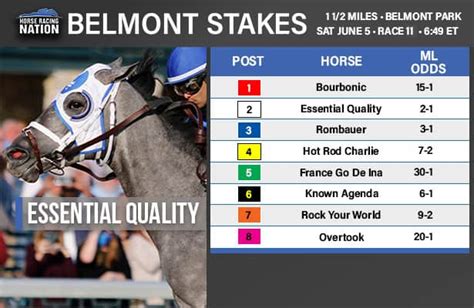 how to bet the belmont stakes